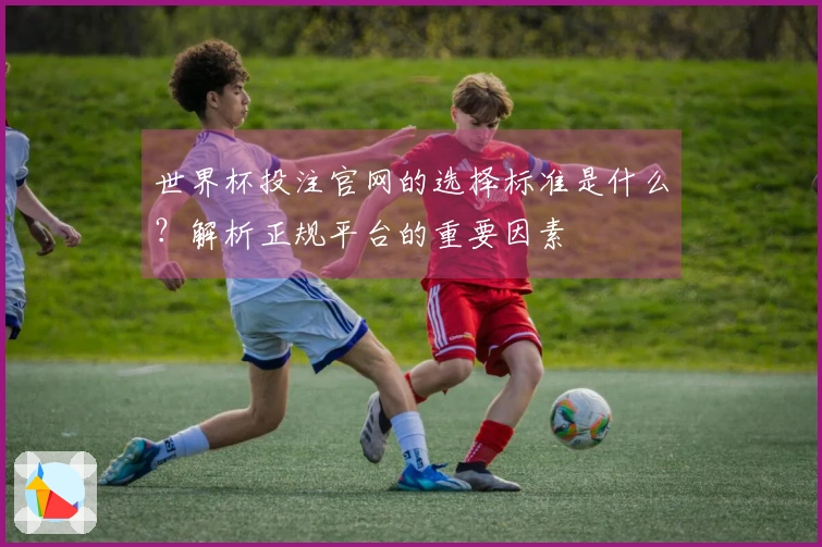 世界杯投注官网的选择标准是什么？解析正规平台的重要因素