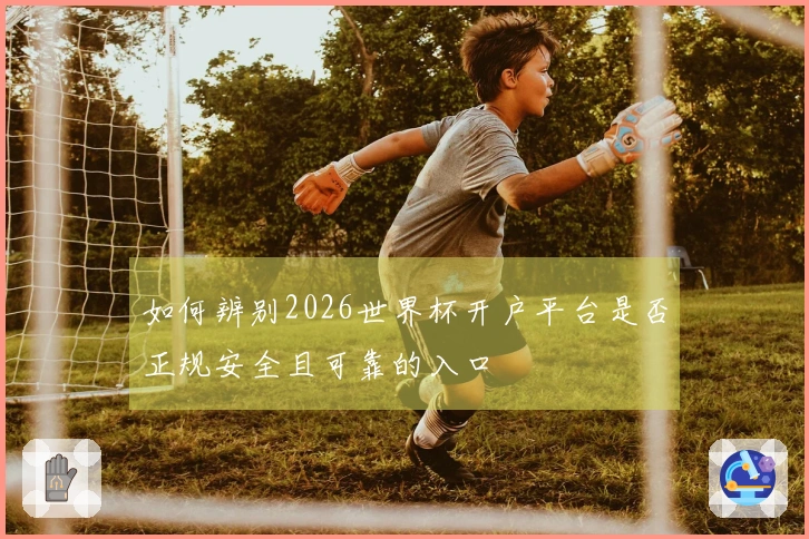 如何辨别2026世界杯开户平台是否正规安全且可靠的入口