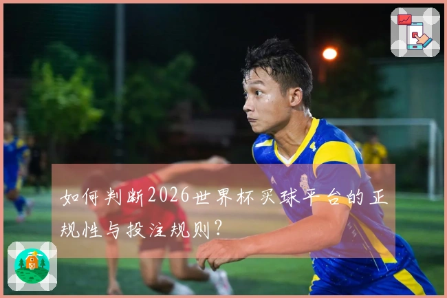 如何判断2026世界杯买球平台的正规性与投注规则？