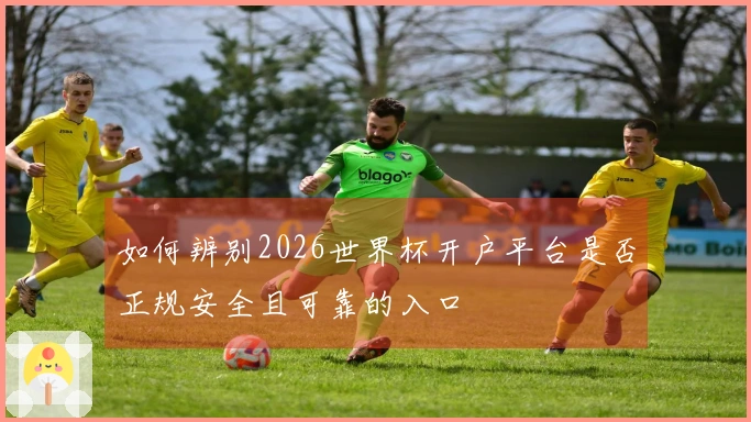如何辨别2026世界杯开户平台是否正规安全且可靠的入口
